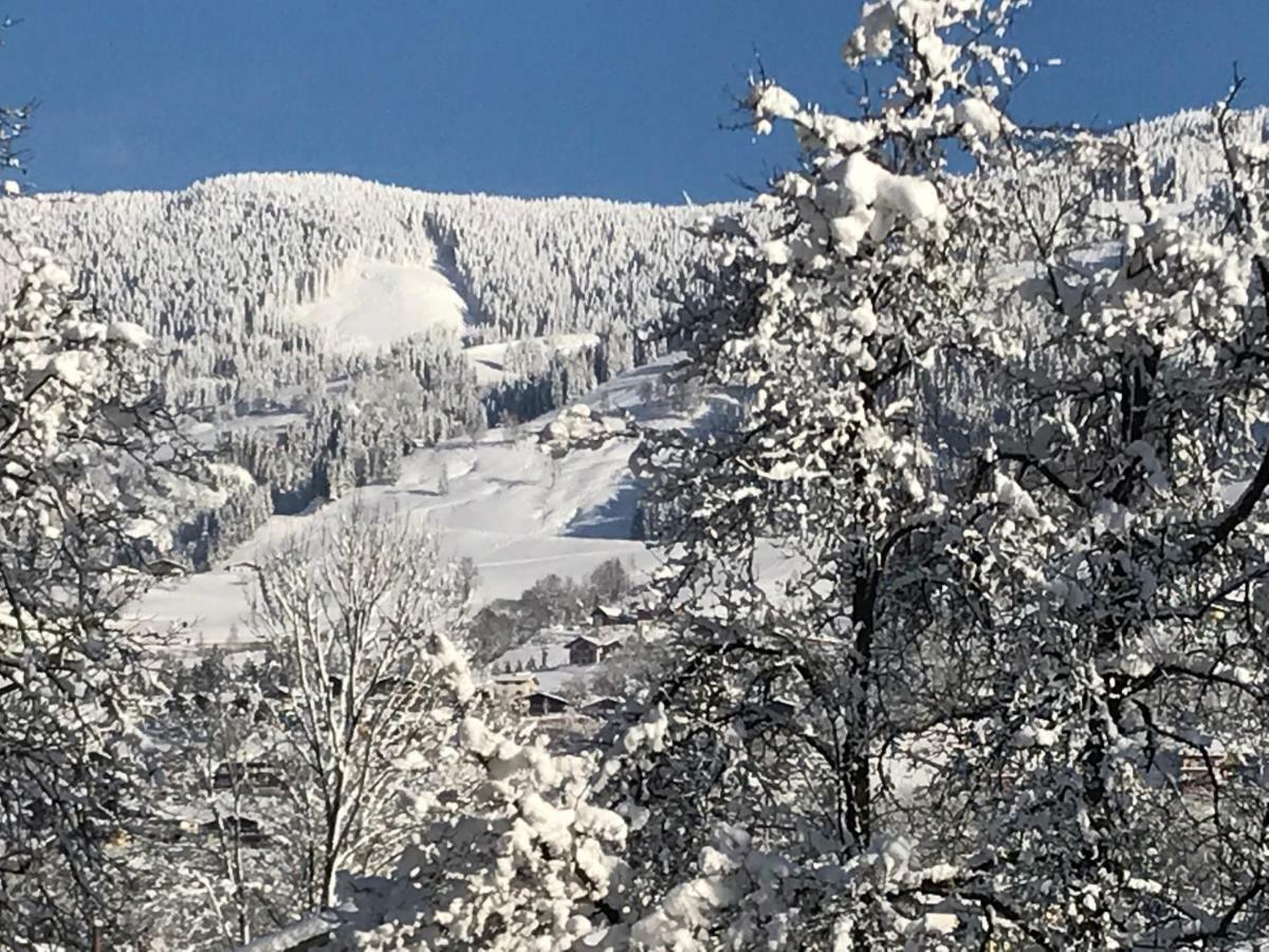 Haus Scharl Lägenhet Grossarl Exteriör bild