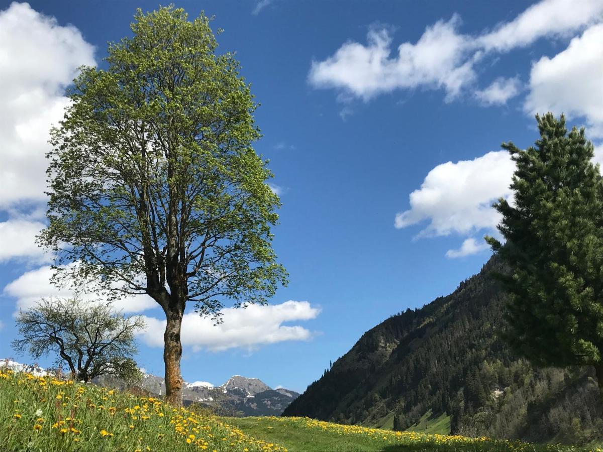 Haus Scharl Lägenhet Grossarl Exteriör bild