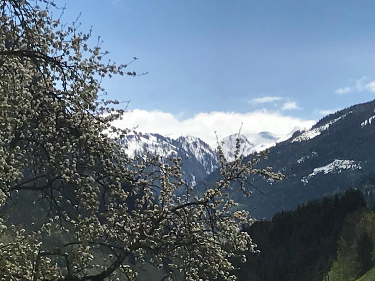 Haus Scharl Lägenhet Grossarl Exteriör bild